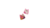 Blush e sombra cremosa Infatil Lilly Cute Cate