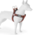 Pretal Hund XS - comprar online