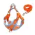 Conjunto pretal y correa regulable mediano