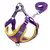 Conjunto pretal y correa regulable mediano - comprar online