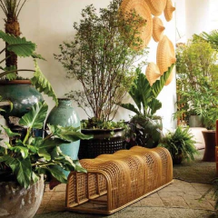 Banco Waves em Rattan - CarmelaBlend ® | Online e Descomplicado