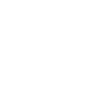 BASAICO
