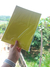 OUTLET/ Peq. defeitos - Color plus NEON 180g A4 com 20 folhas - comprar online