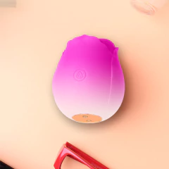 (LB7033) Rosa Degradê Sugador de Clitóris na internet