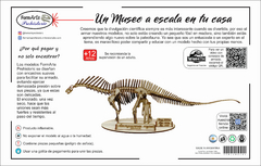 Amargasaurus cazaui Escala 1:20 - FormArte Prehistoric