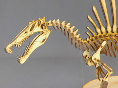 Imagen de Spinosaurus aegyptiacus Escala 1:20