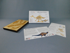 Deinocheirus mirificus Escala 1:20 - comprar online