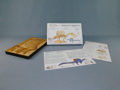 Spinosaurus aegyptiacus Escala 1:20 en internet
