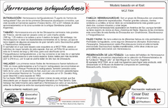 Herrerasaurus ischigualastensis Escala 1:10 - comprar online