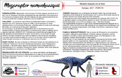 Megaraptor namunhuaiquii Escala 1:20