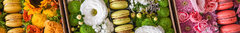 Banner da categoria Caixa de Flores