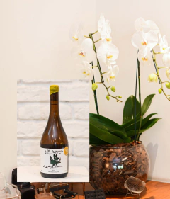 Kit Orquídea Dupla + Vinho Branco