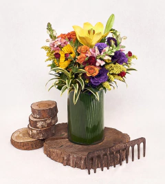 Imagem do Arranjo Médio