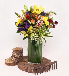 Imagem do Arranjo Grande