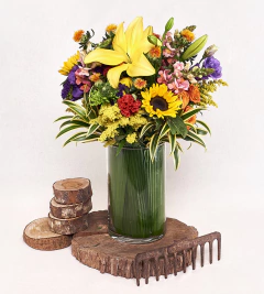 Imagem do Arranjo especial