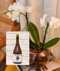 Kit Orquídea Pequena + Vinho Branco
