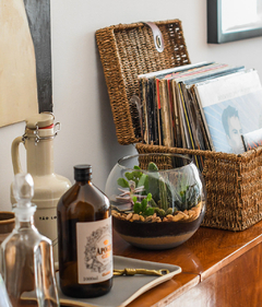 Terrário Aberto Pequeno - comprar online