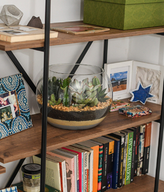 Terrário Aberto Grande - comprar online