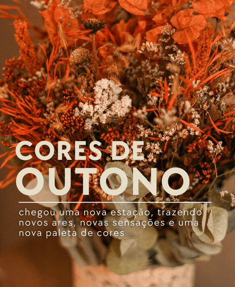 Carrusel Balaio de Flores