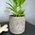 Cachepot Médio Decoração Adorno Cimento Cinza D19 x 18A cm na internet