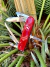 Canivete Victorinox Camper Vermelho 13 Funções 1.3613 na internet