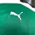 camisa-palmeiras-i-25-26-jogador-puma-masculina-verde