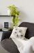 ALMOHADON GIN BLANCO - comprar online