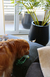 COLCHON TAYIN L - comprar online