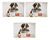 Canis Endospot +40kg 3 Pack