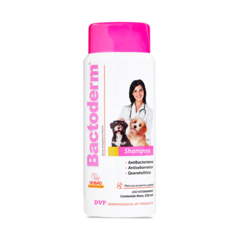 Bactoderm Shampoo 350ml