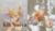 Banner de Gabriela Terra