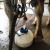 SEPARADOR DE MASTITIS 12 LITROS - tienda online