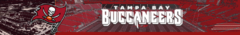 Banner da categoria Tampa Bay Buccaneers