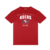 Camiseta NFL San Francisco 49ers Team Color Sport America