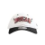 Imagem do Boné 9TWENTY NBA Chicago Bulls Core Branco