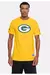 Camiseta NFL Green Bay Packers Amarelo Mitchell & Ness - comprar online