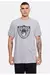 Camiseta NFL Las Vegas Raiders Cinza Mitchell & Ness - comprar online