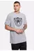 Camiseta NFL Las Vegas Raiders Cinza Mitchell & Ness - Sport America: A Maior Loja de Esportes Americanos