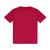 Camiseta NFL Arizona Cardinals Team Color Sport America - comprar online