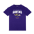 Camiseta NFL Baltimore Ravens Team Color Sport America