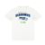 Camiseta NFL Seattle Seahawks Team Color Sport America