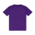 Camiseta NFL Minnesota Vikings Team Color Sport America - comprar online
