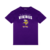 Camiseta NFL Minnesota Vikings Team Color Sport America