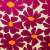 Malha Viscolycra Reativa Florbela - comprar online