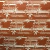 Viscose Reativa Folhas de Jade - comprar online