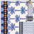 Viscose Digital Barrado Litah