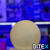 ESFERA EFECTO LUNA (CHICA) - comprar online