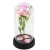 Rosa Preservada em Cúpula com Luz de LED Presente Romântico para Dia dos Namorados- Inspirada na A Bela e A Fera - loja online