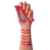 Paleta Pepper- Sp Colors - comprar online
