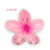 Presilha Flor Pinterest
